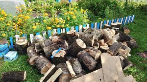 Заготовка дров 2025
