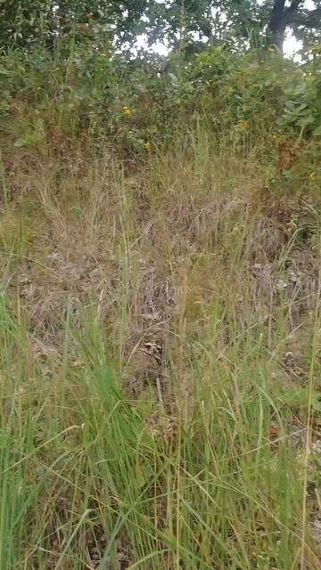 рыбалка и отношения