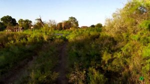 Мотопутешествие по Астраханским просторам: встреча с природой.KUGOO WISH 02 PRO