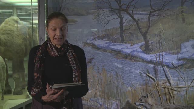 Художник Борис Котик. Работы в ЗИНе