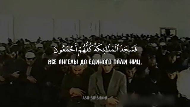 ВЕСЬ ЗАЛ ПЛАЧЕТ ОТ ЕГО ЧТЕНИЯ_ МУХАММАД АРГУНСКИЙ(720P_HD) смотреть онлайн