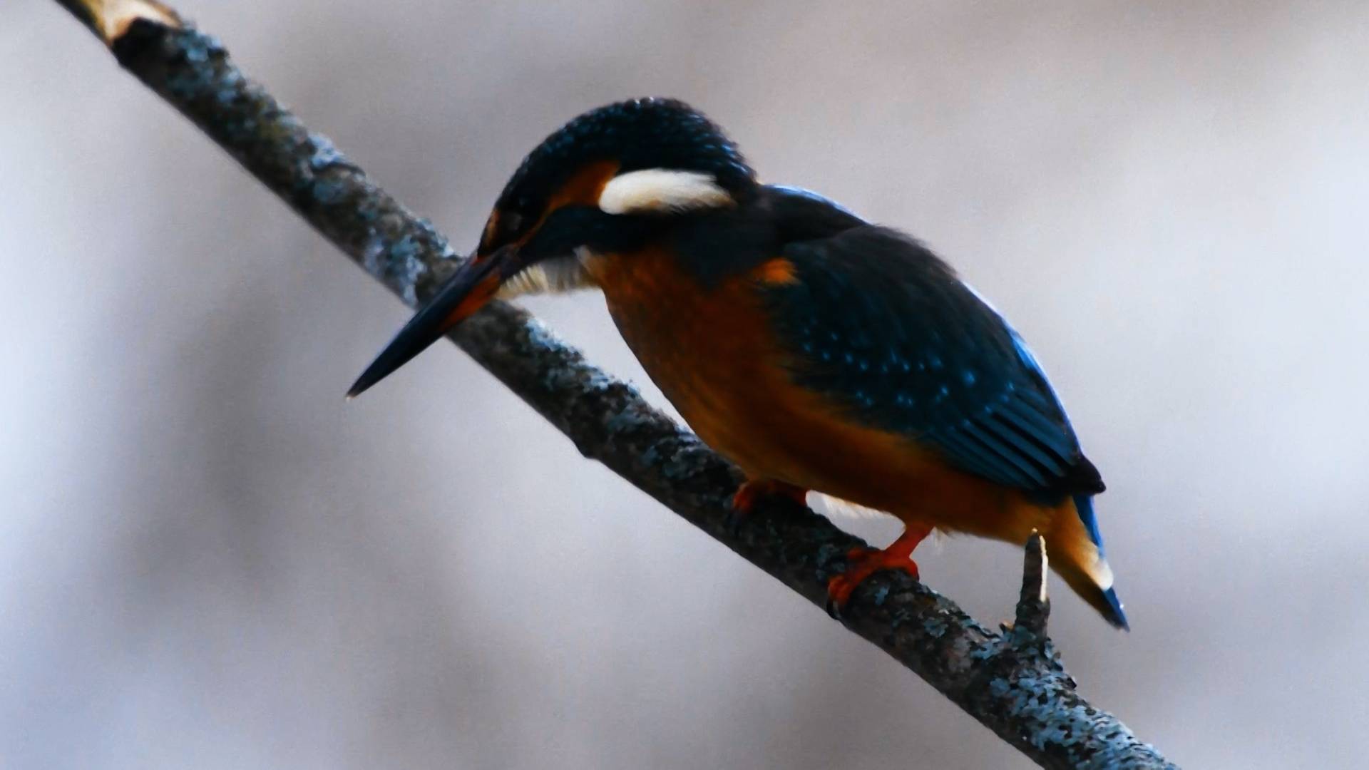 Дикие выходные с Павлом Глазковым. 30 августа