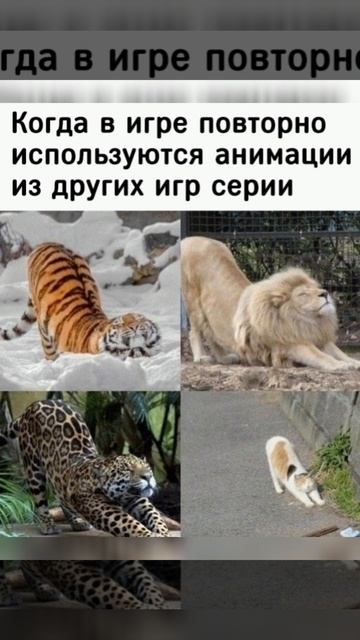 Мемы 😂😂😂 shorts смотреть онлайн