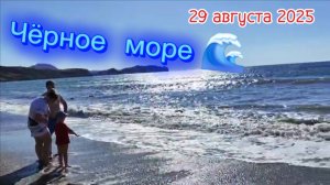 Спокойный отдых в Коктебеле: Пляж и море 29 августа 2025 года/ Крым. Чёрное море. Бархатный сезон