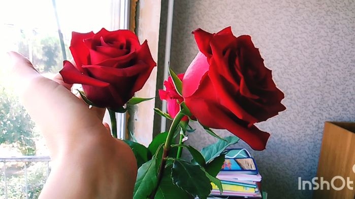 Наши Будни..Репетиция линейки..Вкусный ужин смотреть онлайн