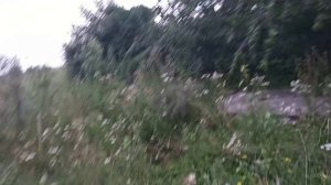 Августа конец - в теплице огурец...