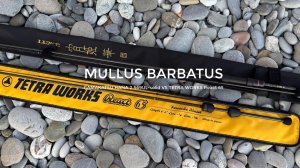 Раздача барабули на закате. Gamakatsu Hana 2 S69UL-solid VS Tetra Works React 65