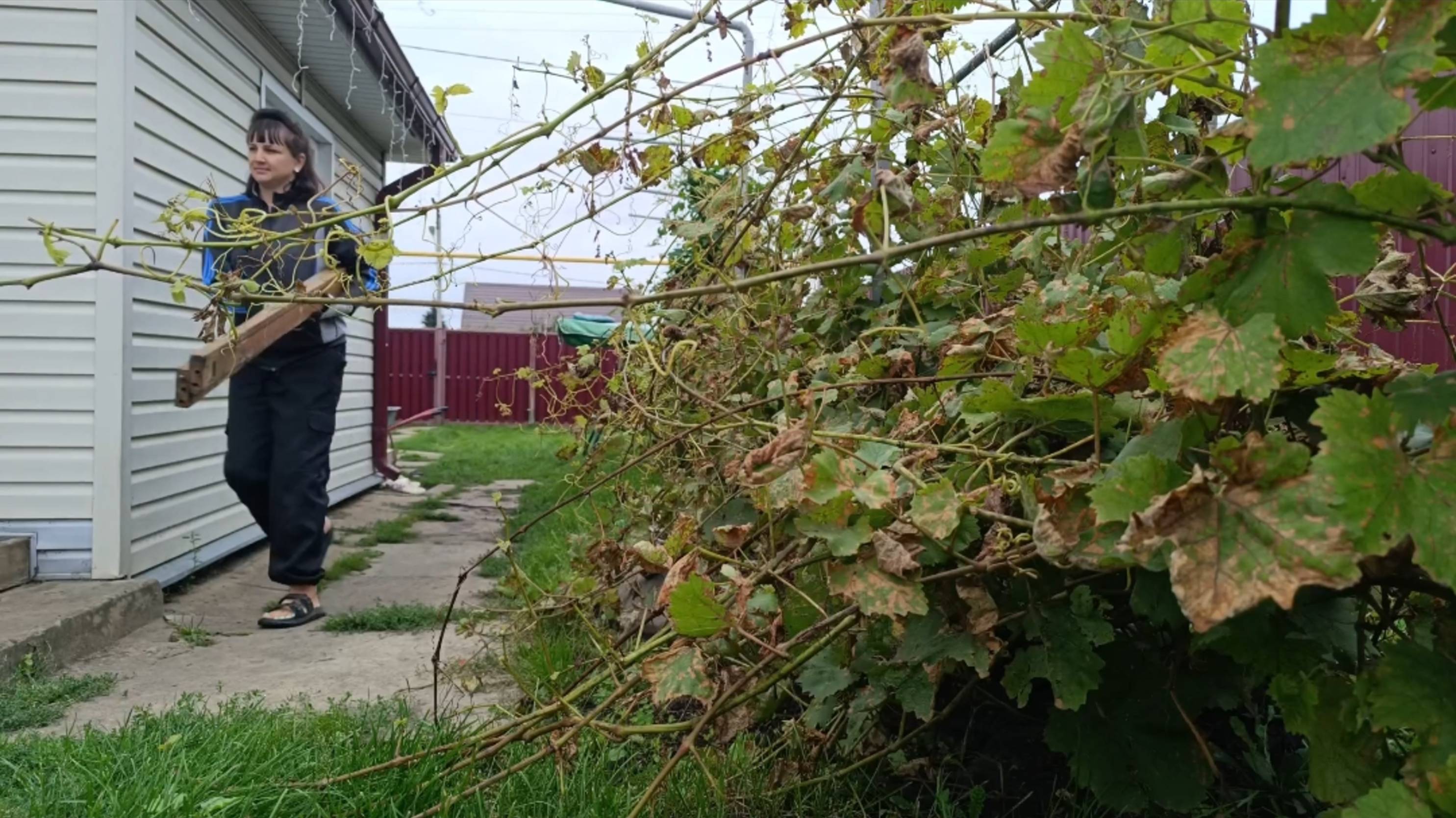 ВИНОВАТЫХ НЕТ/ЖАЛЕЮ ЧТО НЕ ПОСЛУШАЛА МАМУ/СУЕТА И ПОДГОТОВКА смотреть онлайн