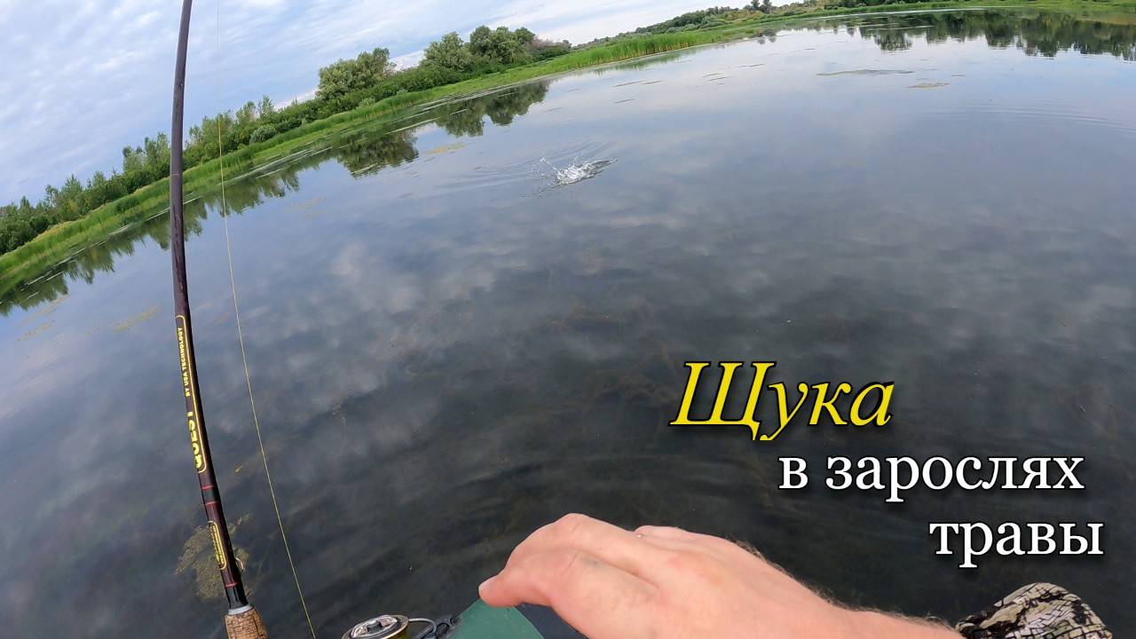 Ловля щуки на мелководье в зарослях травы. Щука на неогруженную резину. смотреть онлайн