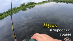Ловля щуки на мелководье в зарослях травы. Щука на неогруженную резину.