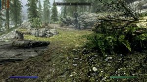 Скайрим, игра в режиме выживания. Прохождение ч1