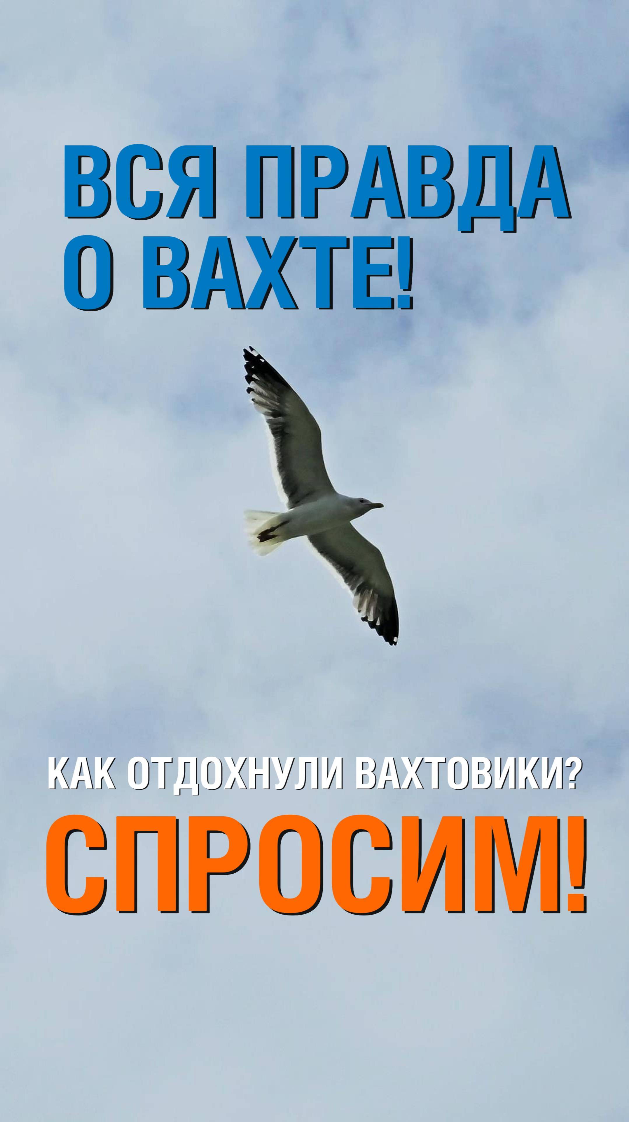 ВСЯ ПРАВДА О ВАХТЕ / Эпизод 7. Идеальный отпуск для вахтовиков Ямбурга... смотреть онлайн