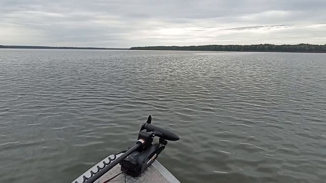 Шатура. Озера. Август 2025.