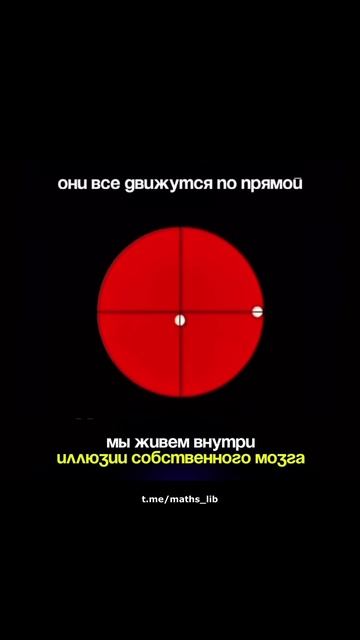 Не всё устроено так, как интерпретирует наш мозг
