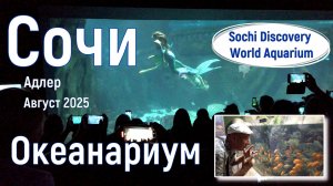 Сочи/Адлер. Океанариум. Sochi Discovery World Aquarium. Наше лето 2025. Русалки. Серия 3