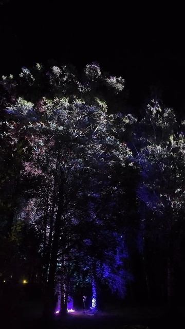 Инсталляция от @luch.pw на ночи света в Гатчине при поддержке LaserFX смотреть онлайн