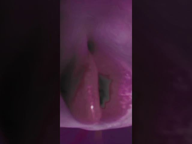 Красивые губы #поцелуйдемона поцелуй  #губы