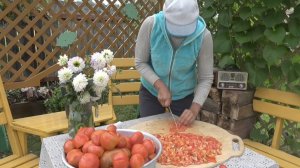 6 соток 26 августа 2025 года. 2 часть