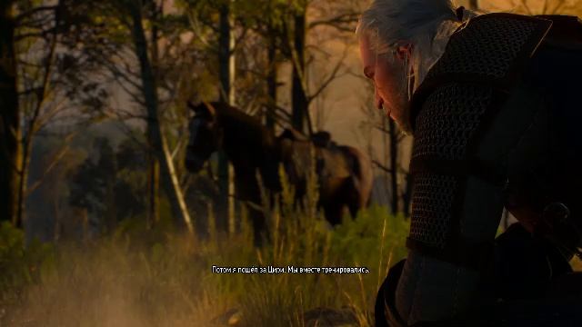 Прохождение игры The Witcher 3: Wild Hunt (Стрим) в 2025 # 1