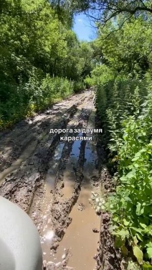 За карасями 👍🎣