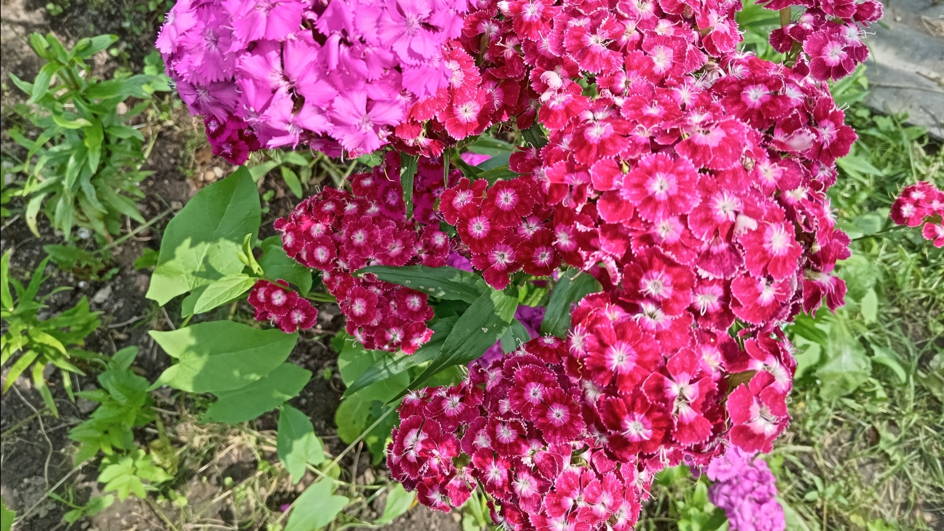 ЕСЛИ НЕ ВЕЗЁТ ... смотреть онлайн