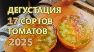 Дегустация 2025 (часть 2). Обзор коллекционных сортов томатов.