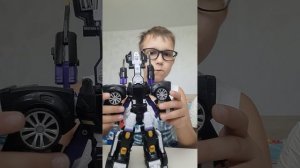 обзор рей минифорс