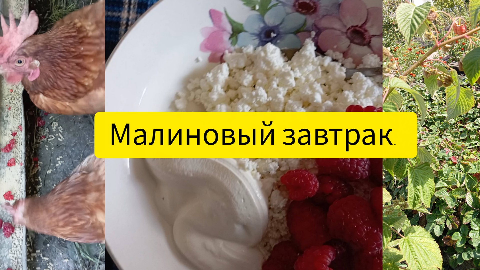 Малиновый завтрак. смотреть онлайн