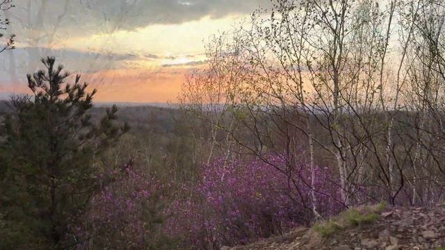 Новое грядет смотреть онлайн