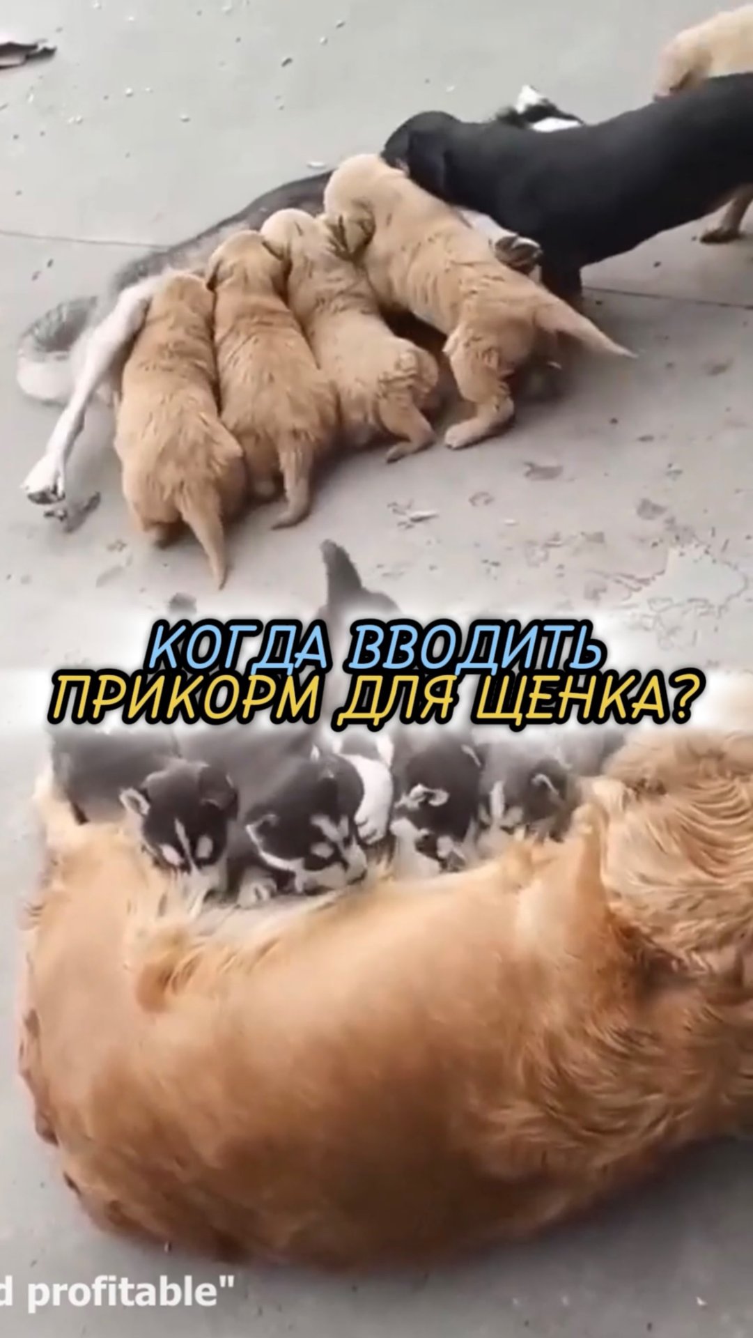 🎁Бесплатные уроки. Жми сюда!