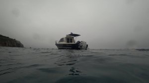 Две Царь камбалы   Остров Карамзина