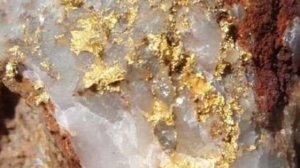 Вскрыл борт золотоносного ручья! Там Золото в кварце!