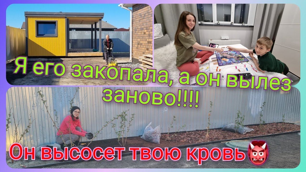 Из Германии в Россию/Наши будни/ Работа на участке/ Садовый центр/ Тюмень/ Наша Жизнь в России/ Влог смотреть онлайн