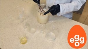 Пример использования сухого яичного меланжа