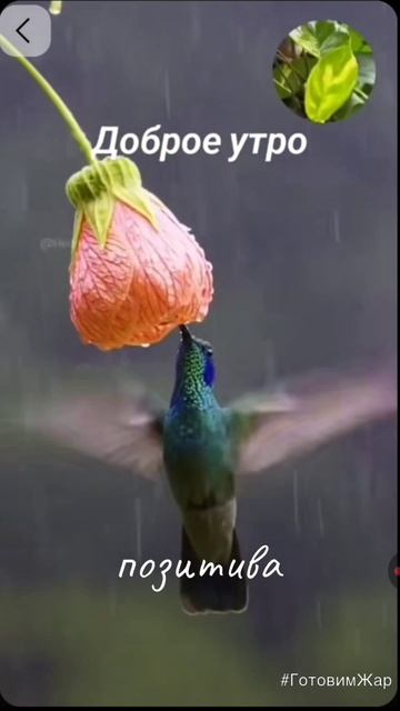 Доброе утро #рек #лайк #яппи #подписка смотреть онлайн