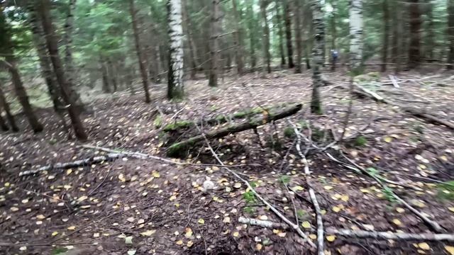 За белыми грибами смотреть онлайн