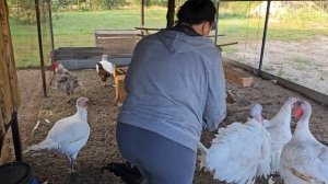 Уехали на лесной хутор и остались там. Песчаное основание. Готовим на природе — просто и вкусно!