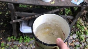 Смородину и другие ягодники проливаю актарой. Пузыреплодник забрала домой