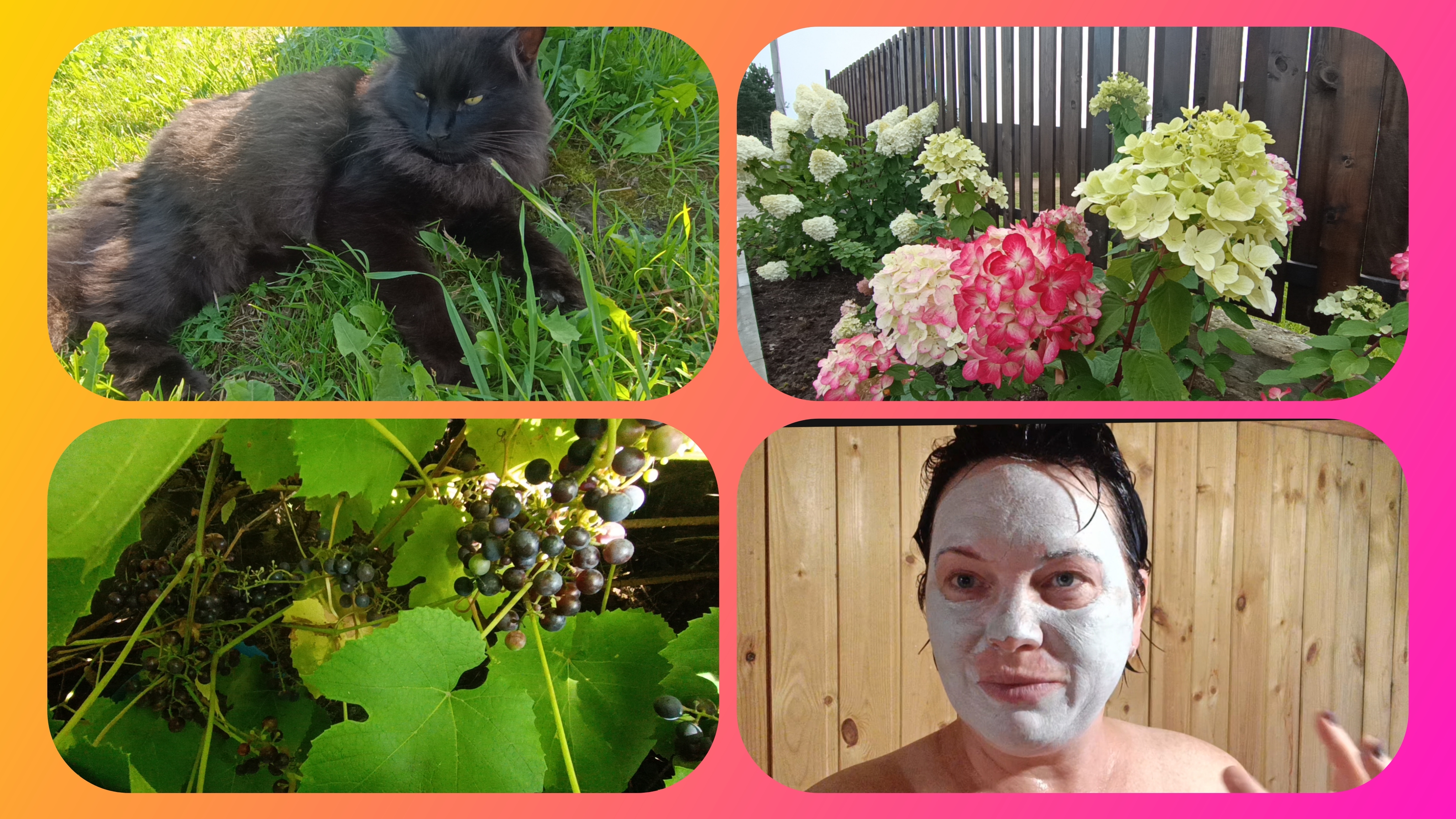 Складываем дрова.Отпариватель.Маска👍 смотреть онлайн