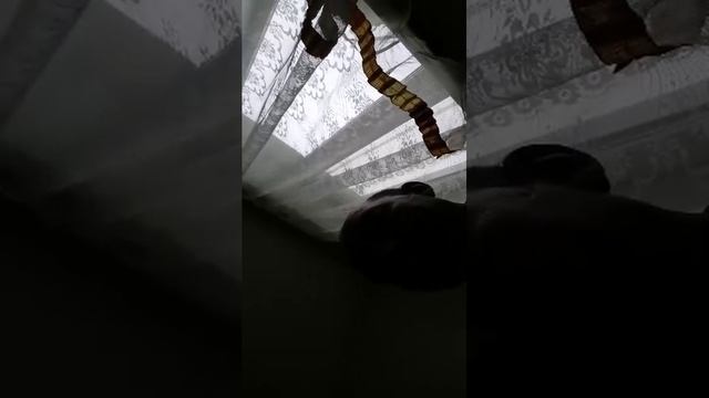 Развлечения