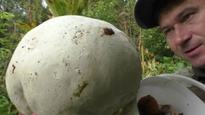 ГРИБ С ДРУГОЙ ПЛАНЕТЫ! ВОТ ЭТО НАХОДКА!