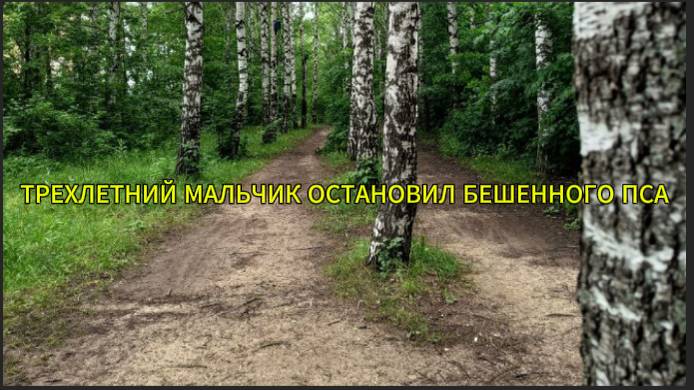 Трехлетний мальчик остановил бешенного пса смотреть онлайн
