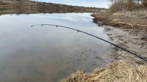 Рыбалка на фидер и поплавок. Ловля на реке 2025