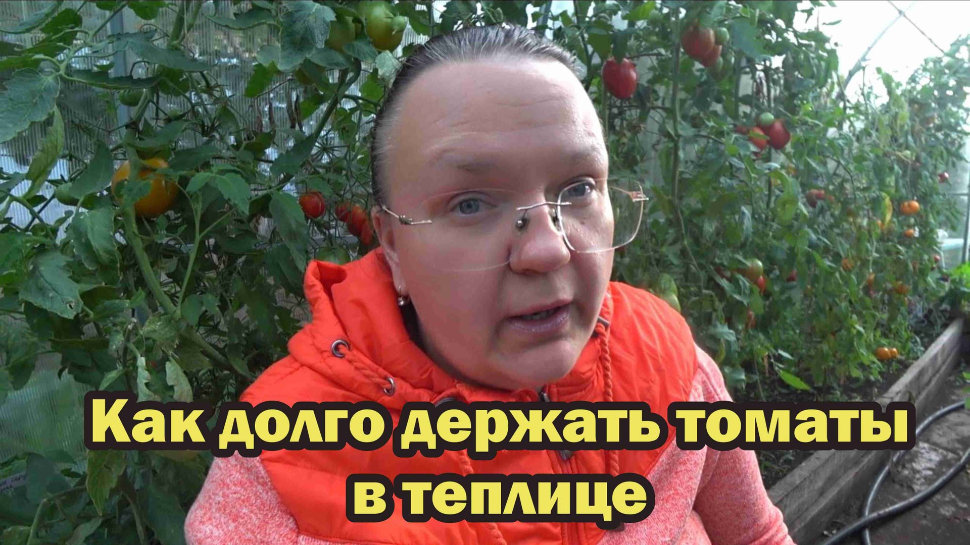 Что делать с помидорами в теплице, когда ночью становится холодно смотреть онлайн