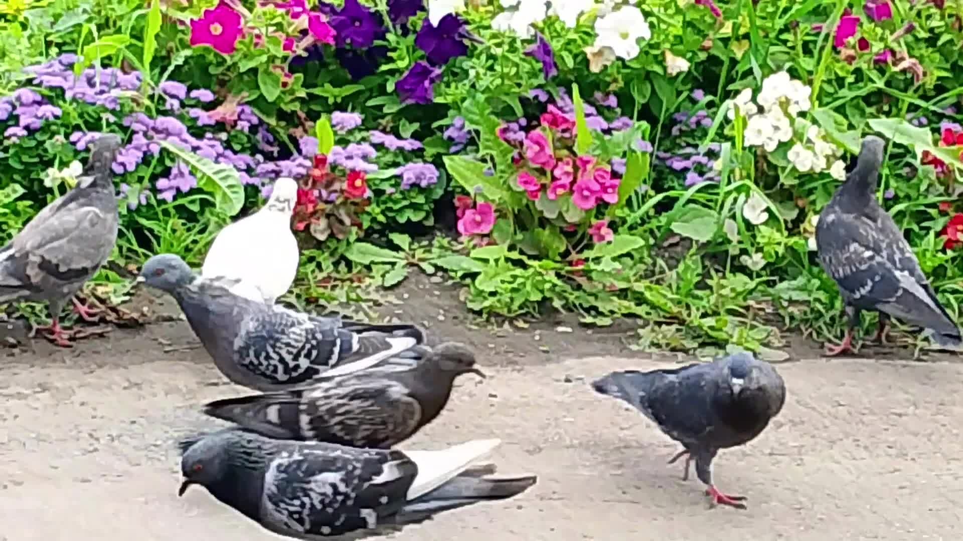 Мой город. Утро субботы. 30-08-2025 смотреть онлайн