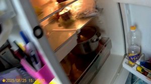 Просто Жизнь 29.08.25 ч1