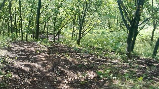 Еду На Виды посмоотреть