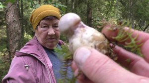 СЕМЕЙНЫЙ ПОХОД ПО ГРИБЫ! БАБУШКА СЫЩИЦА ГРИБОВ!