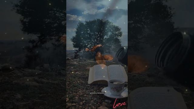 Всё не мило