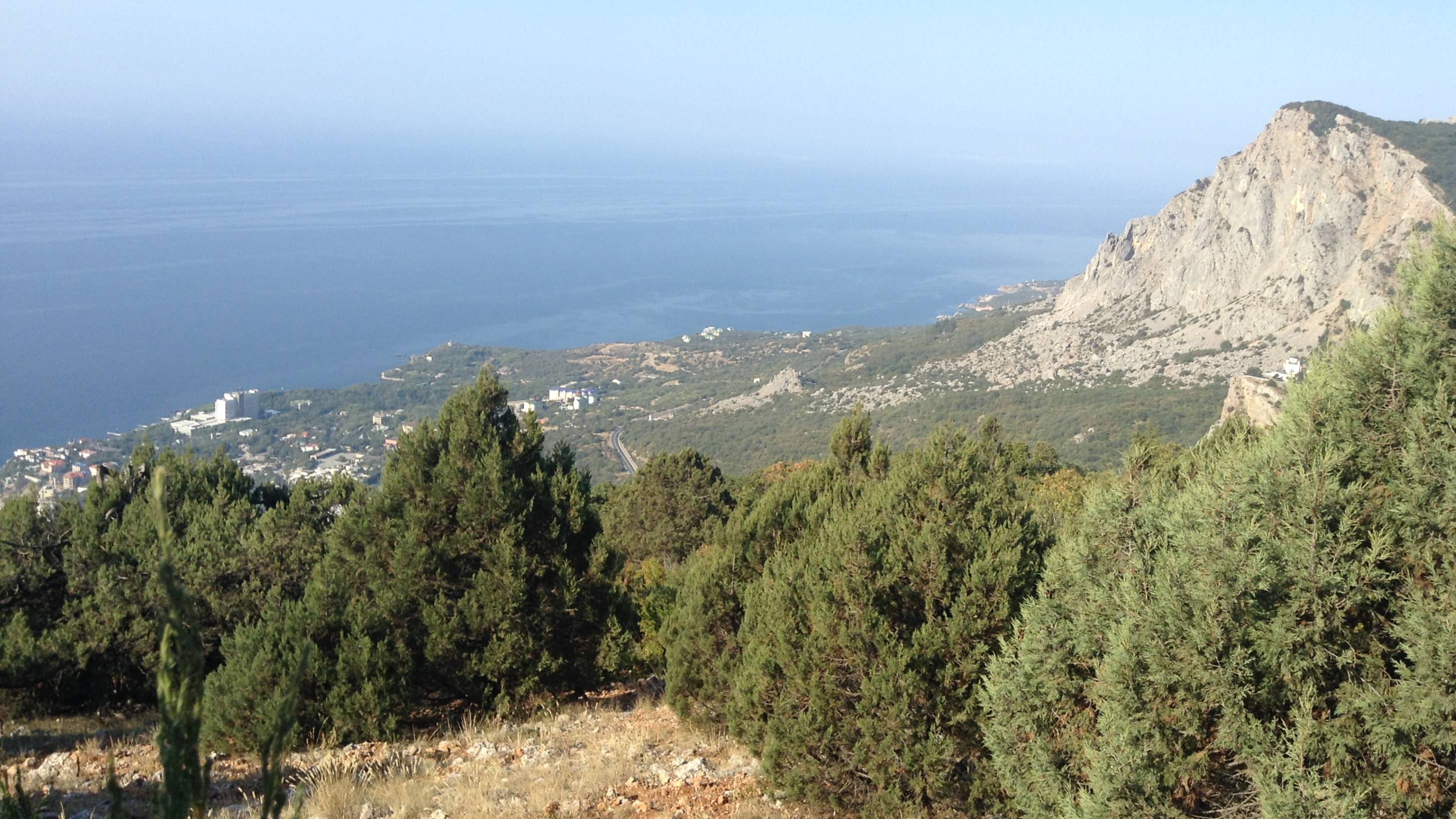 Мордвиновская дорога смотреть онлайн